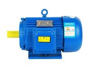 2 Pole Asynchronous IE3 Motor High Efficiency Three Phase With IEC Standard